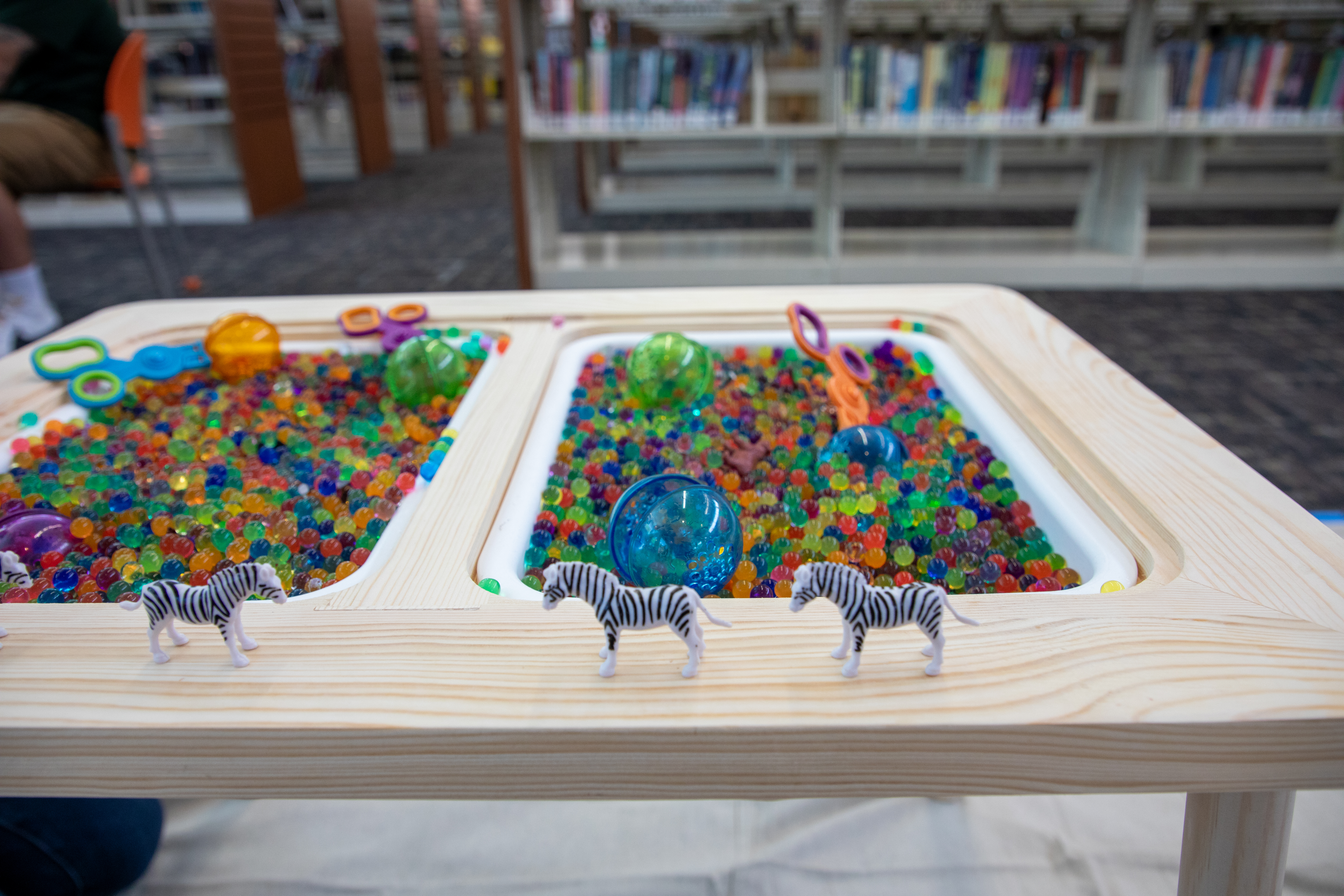 Summer Family Literacy Day 2024 - sensory table closeup